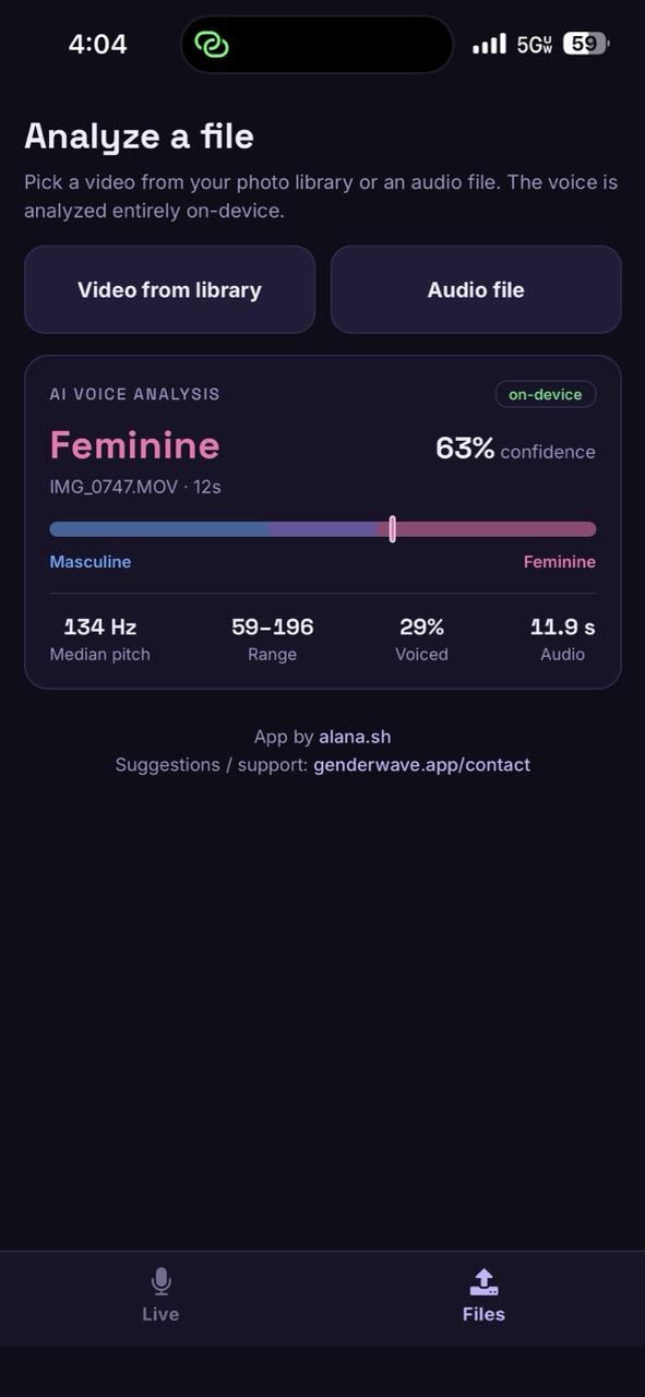 File analysis in Genderwave